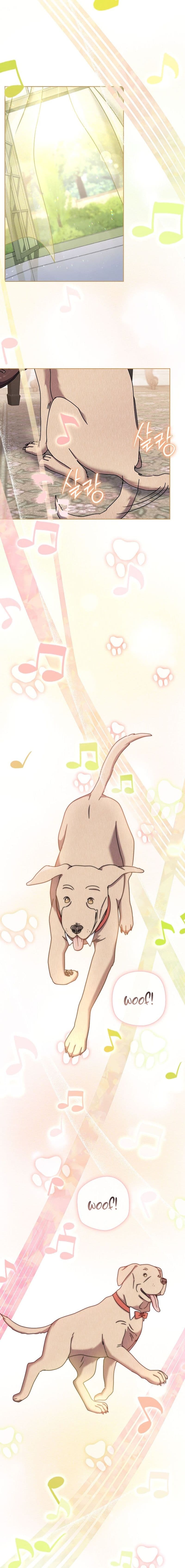 High School Musical Genius Is Paganini Reincarnated - Chapter 32 - Page 5