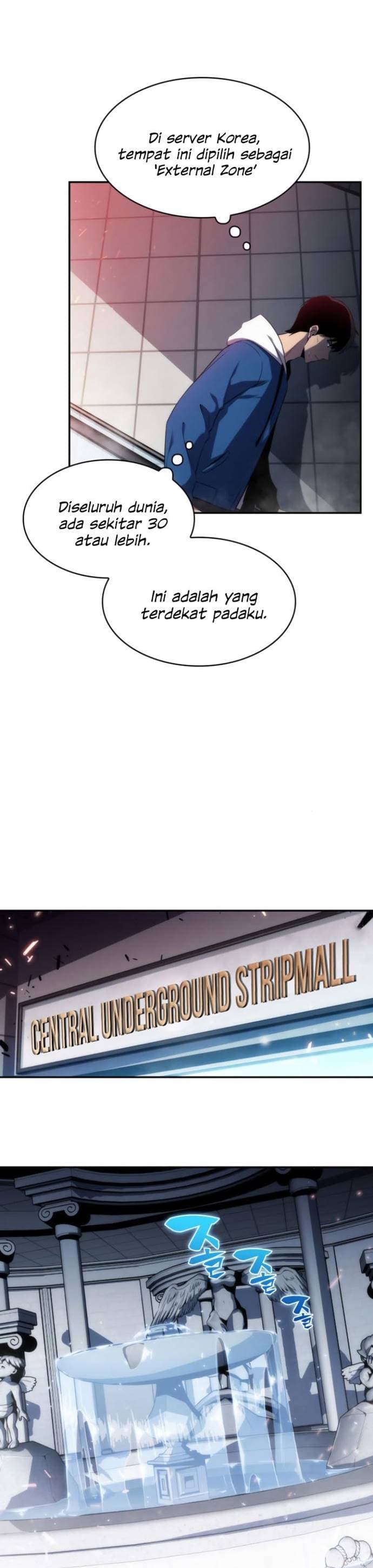 Solo Max-Level Newbie - Chapter 2 - Page 11