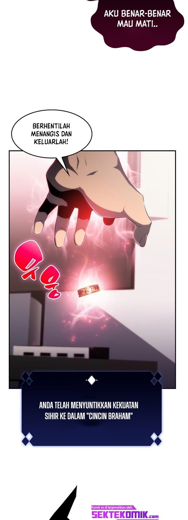 Solo Max-Level Newbie - Chapter 24 - Page 15
