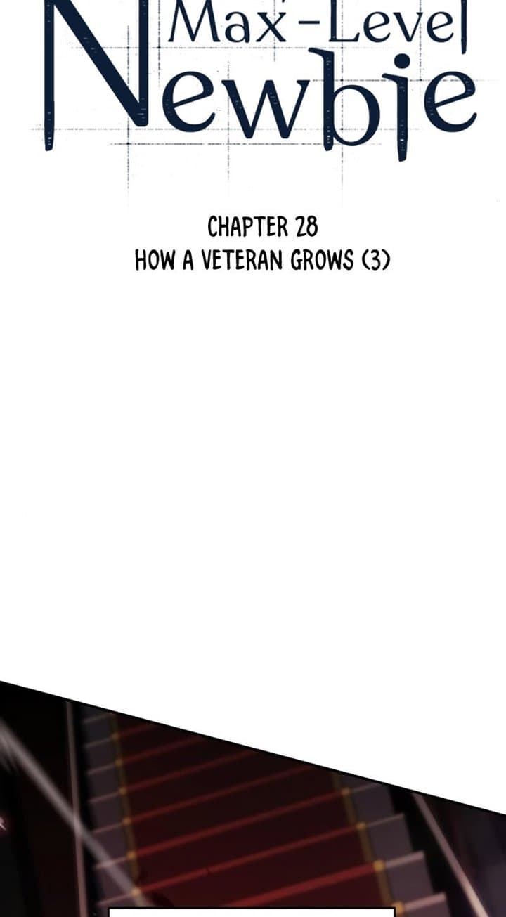 Solo Max-Level Newbie - Chapter 28 - Page 11