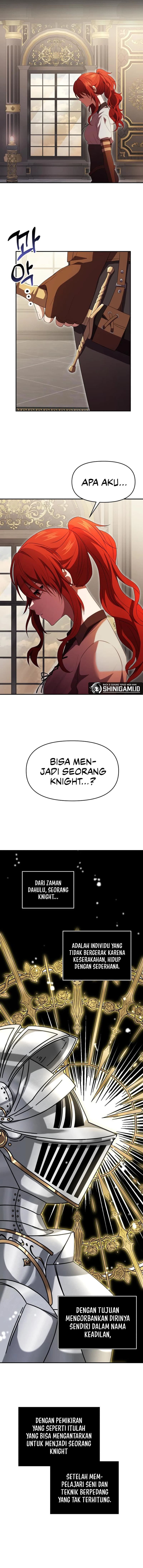 Terminally-Ill Genius Dark Knight - Chapter 5 - Page 17